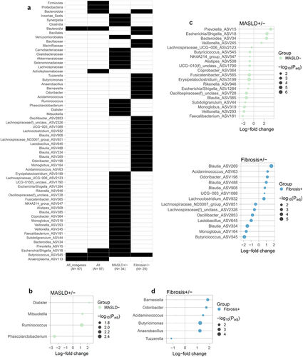 Figure 1. a) Taxonomic features significant across unmatched and matched comparisons. All_noagesex comparison did not include age and sex as covariates in the model. b) Log-fold change of differentially abundant genera shown in panel A, determined with ANCOMBC in MASLD± (left) and Fibrosis± (right) matched analyses. c) Log-fold change of differentially abundant ASVs shown in panel A, determined with ANCOMBC in MASLD± (top) and Fibrosis± (bottom) matched analyses.