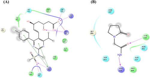 Figure 1. Molecular docking study of rosuvastatin and piracetam to Nrf2. (A) 2D ligand interaction representation of rosuvastatin showing hydrogen bond interaction with purple color arrow line and pi–pi stacking with green line in the binding site of nrf2. (B) 2D ligand interaction representation of piracetam showing hydrogen bond interaction with purple color arrow line and pi–pi stacking with green line in the binding site of nrf2.