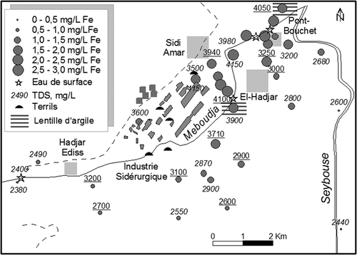 Figure 3. Sels dissous totaux (TDS) et fer dans les eaux de surface et souterraines de la plaine de l’oued Meboudja (mg/L).