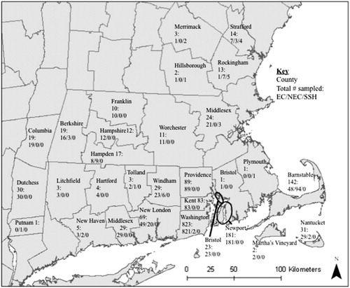 Figure 1. Eastern cottontail (EC), New England cottontail (NEC), and snowshoe hare (SSH) samples identified in 5 Northeastern states from 2003 to 2012, by county. Samples with unknown county locations are as follows: 9/14/0 for Connecticut, 1/15/0 for Massachusetts, 0/0/2 for New Hampshire, and 36/0/0 for Rhode Island for EC/NEC/SSH, respectively.