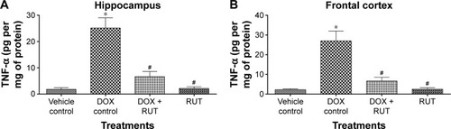 Figure 10 Effect of treatments on TNF-α levels in brain regions.