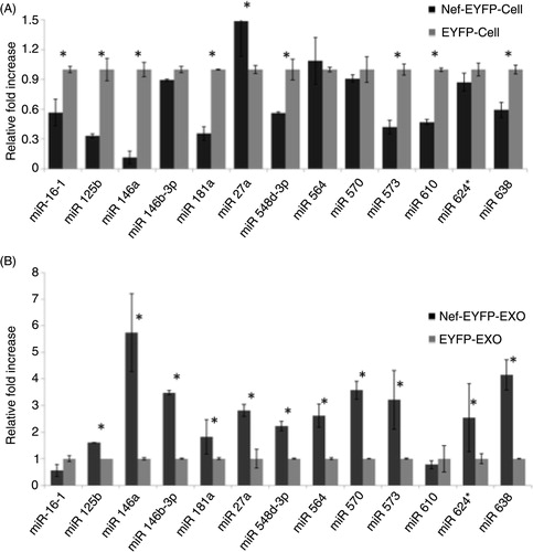 Fig. 3 Validation of differentially expressed miRNAs in cells and exosomes. Total RNA isolated from (A) cells and (B) exosomes was used to quantify expression levels of selected miRNAs as described in Methods. The data represents relative fold-increase±SD from 3 independent experiments; *p<0.05.