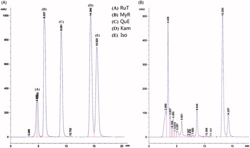 Figure 1. Chromatograms of the standard sample (A) and the hydrolyzed sample (B) analyzed through HPLC. RuT: Rutin; MyR: Myricetin; QuE: Quercetin; Kam: kaempferol; Iso: Isorhamnetin.