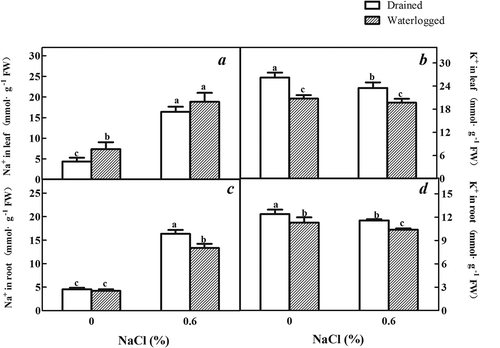 Figure 6. Effects of salinity, waterlogging, and NaCl plus waterlogging co-stress on inorganic ions. (a) Na+ content of expanded leaves, (b) K+ content of expanded leaves, (c) Root Na+ content, and (d) Root K+ content. All data are reflective of E. angustifolia seedlings treated for two weeks. Values are means ± SD (n = 5). Mean values with different lowercase letters are significantly different at P ≤ 0.05 according to Duncan′s multiple range test.