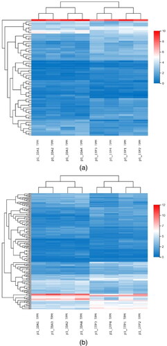 Figure 2. a: Cluster heat map of differentially expressed lncRNA. b: Cluster heat map of differentially expressed mRNA.