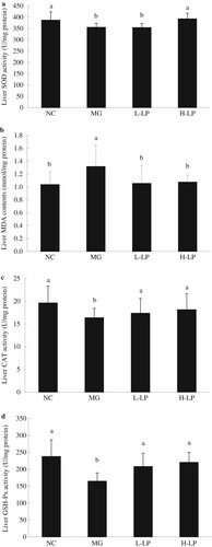 Figure 6. The liver levels of SOD (a), MDA (b), CAT (c), and GSH-Px (d) in each group. NC, normal control group; MG, model group; L-LP, low dose of loach meat paste; H-LP, high dose of loach paste. Values are mean ± SD (n = 15). Means with different letters (a–d) differ significantly (p < .05).