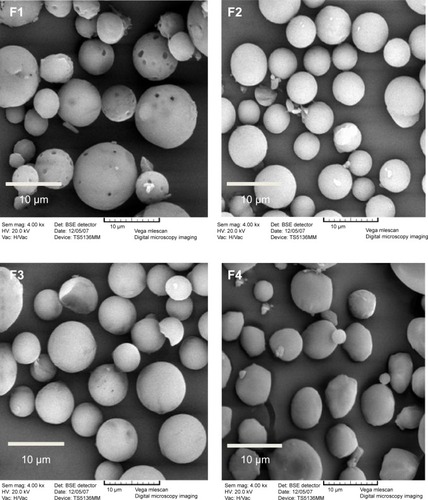 Figure 2 Scanning electron microphotographs of spray-dried powders.Note: Scale bar: 10 μm.Abbreviations: F, formulation; HV, high voltage; Sem mag: scanning electron microscopy magnification; Vac: vacuum.