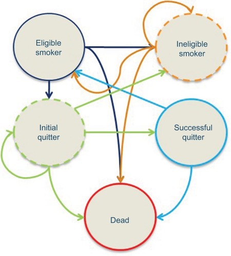 Figure 1 Markov chain diagram.Eligible smoker: Adult smokers who are eligible to quit smoking with a smoking cessation therapy during the current year. This includes: 1. smokers who have never attempted to quit,2. smokers who have previously attempted to quit and failed,3. successful quitters who subsequently relapsed.Ineligible smoker: This tunnel state is used when modeling one covered quit attempt per year. A tunnel state is a state that can be occupied for only one cycle, which represents both the disease state the individual is in and the number of previous cycles spent in the state.Citation29 The use of tunnel states helps to build artificial memory in Markov approaches, which normally have no memory over time. This state holds smokers who are not eligible to quit smoking because they failed a quit attempt <12 months prior to their current quit attempt. When modeling two quit attempts per year, smokers return to “Eligible Smoker” in the first cycle after their relapse.Initial quitter: A tunnel state for smokers who have attempted to quit in the current year, and are currently abstinent from smoking during the current cycle but who have not yet met the criteria for “Successful Quitter”.Successful quitter: Consists of initial quitters who have abstained from smoking for the required length of time to meet the clinical definition of success and who have not relapsed. The model assumes that a person becomes a “Successful Quitter” after being abstinent from smoking for 1 full year.Dead: Captures death due to all-cause mortality, based on age- and gender-adjusted rates from US life tables from the Centers for Disease Control and Prevention. Reprinted by permission from Springer Nature. Adv Ther, Estimated budget impact of adopting the affordable care act’s required smoking cessation coverage on United States healthcare payers, Baker CL, Ferrufino CP, Bruno M, Kowal S, 2017;34(1):156–170, copyright 2018.Citation13,Citation21