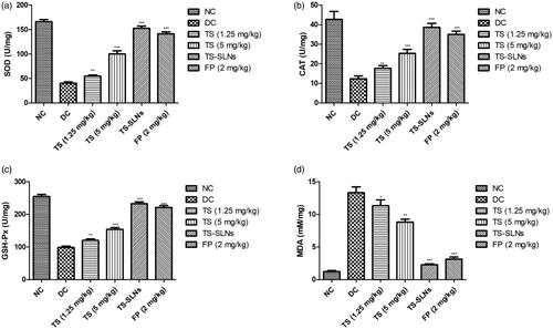 Figure 8. Exhibited the level of antioxidant parameters in the normal and experimental group during the 8 weeks. (a) SOD, (b) CAT, (c) GSH-Px and (d) MDA. Data are presented as the mean ± SD, *p < .05, **p < .01 and ***p < .001.