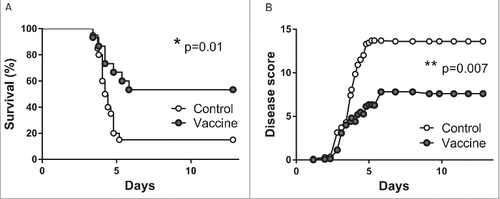Figure 6. Increased survival after single intranasal vaccination with pVAX-hTPA-FliC. Survival (A) and clinical observation score (B) of control (open dots, n = 20) and intranasally vaccinated mice (gray dots, n = 15). All mice in the vaccinated group were given a single intranasal vaccination on day 0 and inoculated intranasally with 500 CFU B. pseudomallei on day 21. Controls did not receive any vaccine. Survival was monitored for 14 days. Data are presented as Kaplan-Meier survival curves. #p < 0.05, ##p < 0.01