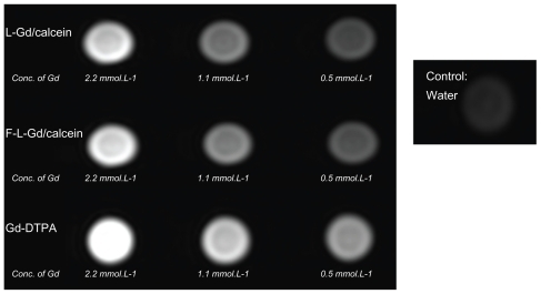 Figure 2 T1-weighted images of Gd-liposomes and Gd-DTPA.Abbreviations: DTPA, diethylenetriamine pentaacetic acid; Conc., concentration.