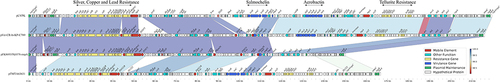 Figure 5 Comparative genetic analysis of rmpA1-carrying plasmids. The arrows represent sequence units or genes and are colored based on the gene function classification. Orthologous regions are connected and color coded.