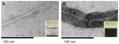 Figure 1 Transmission electron microscopy of SWCNTs pre- and post-functionalization. SWCNTs before (A) and after (B) oxidization using HNO3:H2SO4. Treatment with acid resulted in chemical modifications of the SWCNTs and the formation of carboxyl groups on the surface. Inset: tube containing SWCNTs, showing the enhancement of dispersibility of SWCNTs 2 weeks post-functionalization.Abbreviation: SWCNT, single-walled carbon nanotube.