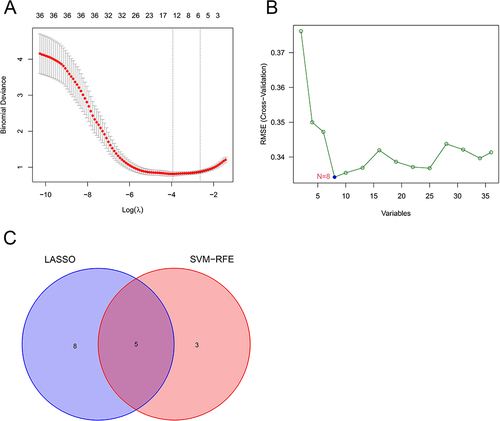 Figure 3 (A) LASSO logistic regression algorithm used to analyze the feature genes; (B) SVM-RFE algorithm used to analyze the feature genes; (C) Venn diagram of the intersection of two sets of feature genes.