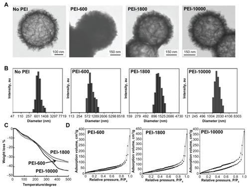Figure 2 Characterization of flake-shell SiO2 nanoparticles coated with PEI-600, PEI-1800, and PEI-10,000. (A) Scanning transmission electron microscopic images of flake-shell SiO2 nanoparticles before and after coating with PEI. (B) Particle size distribution of flake-shell SiO2 nanoparticles measured using dynamic light scattering. The polydispersity index was 0.26 for the SiO2 nanoparticles without PEI. The polydispersity index was 0.36, 0.37, and 0.13 for PEI-600, PEI-1800, and PEI-10,000, respectively. (C) Thermogravimetric analysis of flake-shell SiO2 nanoparticles coated with PEI. (D) N2 adsorption-desorption isotherms of flake-shell SiO2 nanoparticles after coating with PEI.Abbreviation: PEI, polyethyleneimine.