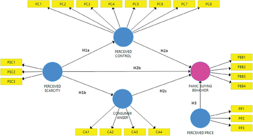 Figure 1. Conceptual model.