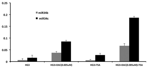 Figure 4. Effect on miR-34b and miR-34b expression by Decitabine (DAC) and trichostatin A (TSA) alone and in combination. HG3 cells were cultured either with DAC at 0,005 μM/L for 72 h,, with TSA at 500nM/L for the last 24 h or in combination with DAC for 48 h followed by TSA for 24 h. Reference gene for RQ-PCR analysis was RNU6.