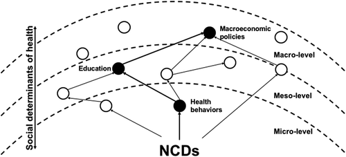 Figure 1. A schematic relation between the RCA and SDH. The RCA methodology is used to delineate cause and effect relationships between social determinants of NCDs in slums that have been empirically described in the literature. White circles represent empirically identified SDH of NCDs in slums, while the black circles represent a pathway of enhanced NCD risk in a slum individual, through the combination of social determinants.