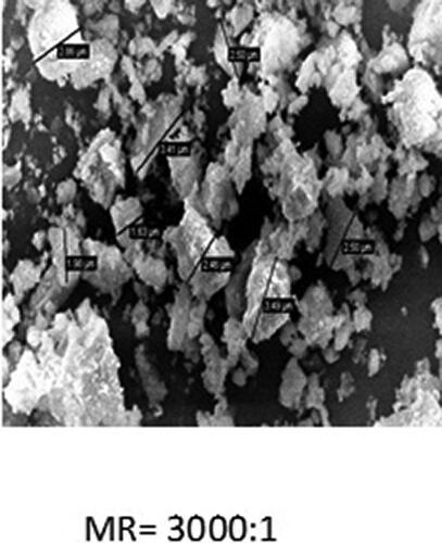 Figure 4. Cement particles shape and size.