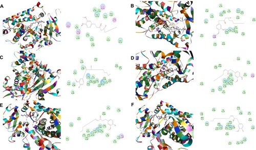 Figure 4 Binding modes of main active components of ginger in human CYP2C19 (PDB code 4GQS).