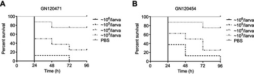 Figure 2 Survival curves of various inoculum doses of Shigella flexneri GN120471 (A) or GN120454 (B) in Galleria mellonella larvae during incubation at 37°C for 96 hours. Curves were plotted using 10 larvae for every experiment. Larvae were inoculated with 10 μL of bacterial suspensions. Mortality at 24 hours was 100% at 106 CFU/larva (bacterial suspension concentration for ~108 CFU/mL).