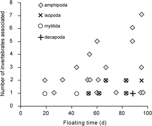 Fig. 4. Colonization of invertebrates with floating time (days). Results are from n = 24 Fucus vesiculosus thalli.