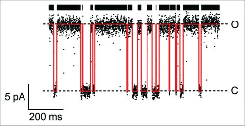 Figure 1. Example of a single-channel trace of a viral KcvNTS channel in a DPhPC bilayer in 100 mM KCl at +160 mV (For experimental procedures, see ref. 109). Open-channel current level (O) and baseline (C) are clearly separated. The noise-free time series reconstructed by a Hinkley detectorCitation54 is drawn in red. The thick black bar symbolizes open events recognized by the detector.