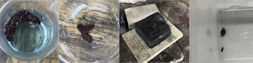 Figure 3. Transforming e-waste copper sulphate solution with zinc.