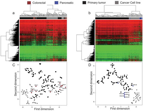 Figure 4. DNA methylation profiles from colorectal and pancreatic cancer organoids in the context of primary tumours and cancer cell lines. Heatmaps representing unsupervised hierarchical clustering with bootstrap resampling of DNA methylation in colorectal (a) and pancreatic (b) cancer organoid samples and their primary tumour [The Cancer Genome Atlas or (TCGA)] and cancer cell line [Wellcome Sanger Institute (Sanger)] counterparts. Red represents methylated CpGs, green unmethylated CpGs. (c and d) t-SNE plots show organoid, primary tumours and cancer cell lines clustering based on their DNA methylation profiles representing (c) colorectal cancer and (d), pancreatic cancer. Each organoid sample is labelled according to its respective ATCC ID. (a – d) DNA methylation profiles are displayed as cancer types and tissues; brown (organoid colorectal cancer), dark blue (organoid pancreatic cancer), primary tumour (black) and cancer cell lines (dark grey). The primary tumours and cancer cell lines are respective of the organoid tissue in each figure. All CpGs were analysed using only EPIC and 450 K shared probes