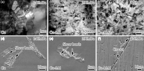 Figure 3. (a–c) The TEM micrographs of post-deformation microstructures and (d–f) SEM images of surface damage morphology of the NC Cu and Cu–Al alloys fatigued at the constant stress amplitudes of .