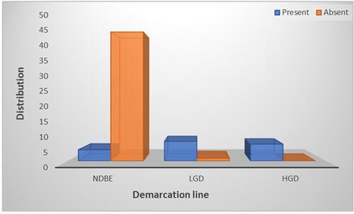 Figure 5 Distribution of dysplastic categories based on demarcation line. Regarding a demarcation line 46 of 50 or 92% of the samples did not have a demarcation line and only 4 or 8% did. In contrast, 7 of 8 LGD samples or 87.5% and 100% of the 6 HGD samples had a demarcation line.
