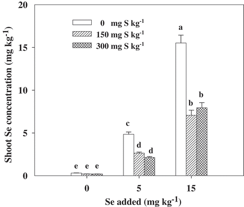 Figure 2. Selenium (Se) concentration in the shoots of Brassica napus L. grown at the seedling stage with different concentrations of sulfur (S) and Se. Bars indicate standard error (n = 4). Different lowercase letters indicate significant differences at p < 0.05.