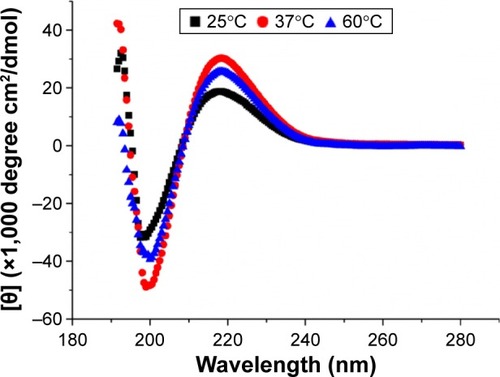 Figure 2 CD spectra of peptide d-RADA16-RGD at 25°C, 37°C, and 60°C.