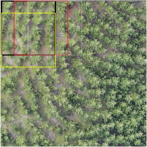 Figure 5. The second step of our pre-process subdivides the grid into smaller overlapped sub-images of size 256×256 (represented by colored squares). We train our models using the sub-images and their respective labels.