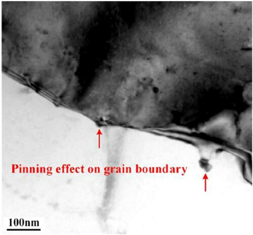 Figure 15. Grain boundary pinning by Al3(Sc,Zr) and Mg2Si precipitates in LPBF-processed Al–14.1Mg–0.47Si–0.31Sc–0.17Zr. Sample was aged at 325°C for an unspecified amount of time between 2 and 24 h [Citation115]. Used with permission from Elsevier.