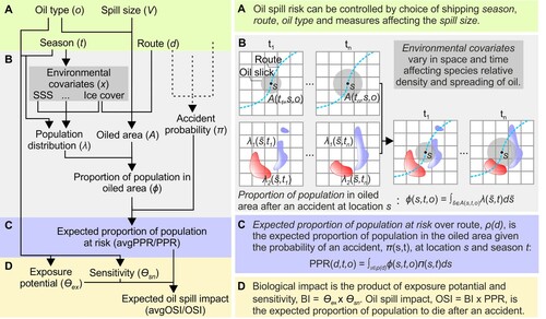 Figure 18. Overview of the probabilistic oil spill risk assessment method by Helle et al. (Citation2020). Reproduced with permission.