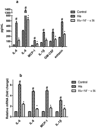 Figure 8. Suppression of the NF-κB signaling pathway decreased His-evoked inflammatory cytokine response in nasal epithelial cells. The effect of NF-κB inhibitor (NF-κBi) on His-evoked secretion of IL-6, IL-8, MCP-1, IL-1β, GM-CSF, and eotaxin (a). The effect of NF-κBi on His-evoked mRNA expression of IL-6, IL-8, MCP-1, and IL-1β (b). The results were expressed as the mean ± SD of three independent experiments. #P < 0.01 vs. control group, *P < 0.01 vs. His group