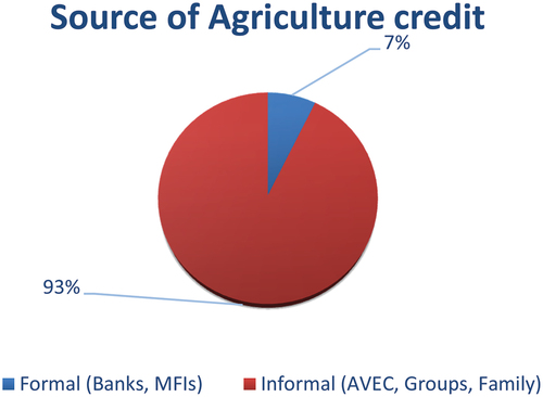 Figure 1. Source of agricultural credit in the study area.