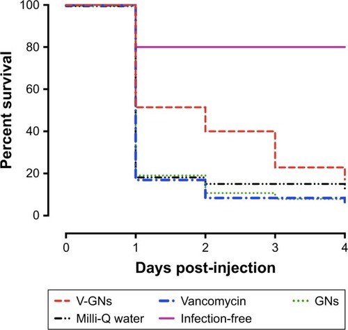 Figure 9 Percent survival (%) of S. aureus-infected zebrafish larvae receiving different treatments, monitored from the day of injection until 4 days post-injection. The median dose of S. aureus assessed directly after injection in control larvae was 3,200 CFU per larva. The infected larvae were treated with vancomycin-loaded gelatin nanospheres (V-GNs), free vancomycin, or only gelatin nanospheres (GNs). Injection of Milli-Q water was used as mock treatment. Larvae receiving two injections of Milli-Q water (infection-free) were used as controls for the injection procedure. The group size of infected larvae was between 32 and 35 larvae per group at the start of the experiment. The group size of infection-free larvae was 10 larvae. Survival of zebrafish larvae receiving locally delivered vancomycin (V-GNs) was statistically significantly higher than survival of zebrafish larvae receiving systemically delivered vancomycin (P=0.01).Abbreviation: CFU, colony-forming unit.