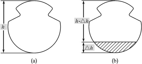 Figure 4. Cross section of the contact wire that sliding over the pantograph: (a) Intact cross section, (b) Shaded worn-off portion (Δh) of the cross section.