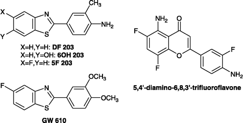 Figure 2 Chemical structures of antitumour agents: 2-(4-amino-3-methylphenyl) benzothiazole (DF 203), its 6-hydroxy metabolite (6OH 203), 2-(4-amino-3-methylphenyl)-5-fluorobenzothiazole (5F 203), 5,4′-diamino-6,8,3′-trifluoroflavone and 2-(3,4-dimethoxyphenyl)-5-fluorobenzothiazole (GW 610) [Citation12,Citation15,Citation16].