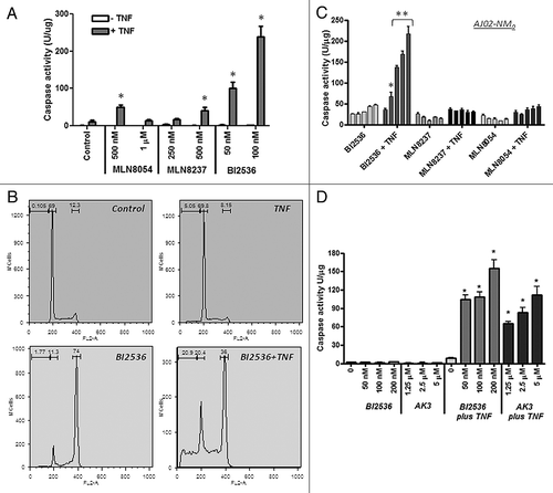 Figure 9. Effect of kinase inhibitors on the TNF sensitivity of colon cancer cells. (A) TNFinduced caspase activation in the presence of MLN8054, MLN8237 (Aurora A kinase inhibitors) and BI2536 (Plk1 inhibitor). HT29 cells were treated with the indicated concentrations of the inhibitors in the presence or absence of TNF and tested for caspase-3 activity using the DEVD-AMC substrate. BI2536 induced a significantly higher level of caspase activation than the Aurora kinase inhibitors (ANOVA, p < 0.01). (B) Cell cycle analysis of HT29 cells treated with BI2536 in the presence or absence of TNF. BI2536 at 100 nM induces a G2/M arrest and, in combination with TNF, causes the appearance of sub-diploid cells. (C) BI2536 enhances TNF-induced apoptosis in the mouse AJ02-NM0 colon cancer cell line more potently than MLN8054 or MLN8237. AJ02-NM0 cells were treated with the inhibitors in the presence or absence of murine TNF and tested for caspase activation using the DEVD-AMC substrate. Inhibitors were used at 0, 125, 250, 500 and 1000 nM (from left to right). BI2536 was a significantly more potent sensitizing agent than the Aurora kinase inhibitors at all concentrations tested (ANOVA; *p < 0.05, ** p < 0.01). (D) AK3 and BI2536 induce comparable levels of caspase activation in HT29 cells in the presence of TNF. Cells were treated with the indicated agents and tested for caspase activation using the DEVD-AMC substrate. AK3 and BI2536 in combination with TNF induced significantly higher caspase activity than either individual treatment (ANOVA; *p < 0.01).