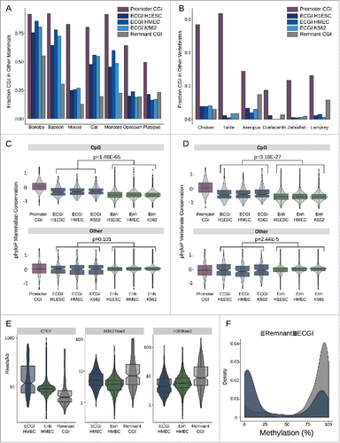 Figure 6. ECGI CpG density is highly conserved in mammals Genomic coordinates annotated as CGI from each species indicated (UCSC) were lifted over to the human genome (hg19). Shown is the fraction of human CGI in each class that overlapped a CGI in the indicated mammals (A) or other vertebrates (B). Distribution of the average placental mammal (C) or vertebrate (D) phyloP score for CpG dinucleotides (top) or other residues (bottom) among human promoter CGI, ECGI, or classical enhancers active in the indicated cell type. E) Distribution of average ChIP-Seq tag densities (read/kb) for the indicated chromatin feature (CTCF, H3K27me3, H3K9me3) among ECGI, classical enhancers and Remnant CGI as defined in HMEC cells. F) Density of the mean DNA methylation level for ECGI or Remnant CGI as determined from H1ESC whole genome bisulfite sequencing.