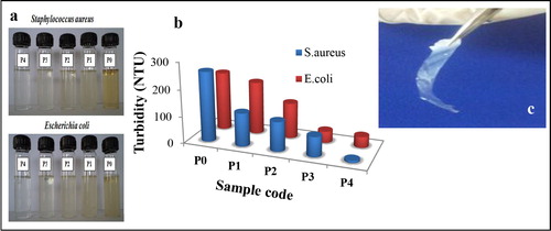 Figure 4. a Antibacterial activity of zinc oxide (ZnO) nanoparticles against S. aureus and E. coli and b related graphical comparison of turbidity as measure of cell viability, c photograph of a typical ZnO–polycarbonate (PC) film