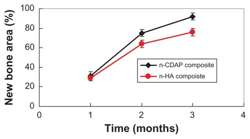 Figure 11 New bone tissue area in bone defects after n-CDAP and n-HA composite scaffolds implanted in vivo for 1, 2, and 3 months.Abbreviations: n-CDAP, nano calcium-deficient apatite; n-HA, nano hydroxyapatite.