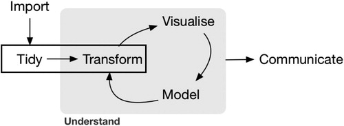 Fig. 1 Featured aspects of the data analysis cycle (Wickham and Grolemund, Citation2017, p. 3) are highlighted in the rectangle.