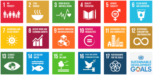 Figure 2. Sustainable development goals. Source: UN (Citation2015).
