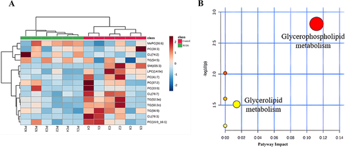 Figure 9 Analysis of serum differential lipids and metabolic pathways in PCOS patients vs control groups. (A) The heatmap of the hierarchical cluster of serum differential lipids; (B) Scatter plots of serum differential lipid KEGG metabolic pathway.