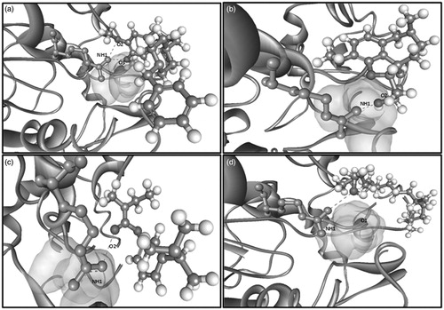 Figure 8. Molecular interaction of (a) donepezil, (b) galantamine, (c) rivastigmine and (d) phytol with the enzyme acetylcholinesterase.