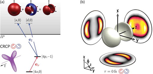 Figure 3. (a) Excitation scheme for second-order frequency mixing in the perturbative MPI of K atoms with (ω:2ω) CRCP fields. Two-photon CRCP ionization addresses |d,0⟩- and |s,0⟩-continuum states. The sign of the corresponding wave functions is color-coded. An (ω:2ω) CRCP propeller pulse is illustrated in the inset. (b) Tomographically reconstructed 3D photoelectron density. The PMD is aligned along the laser propagation direction due to the interference of the |s,0⟩- and |d,0⟩-wave packets.